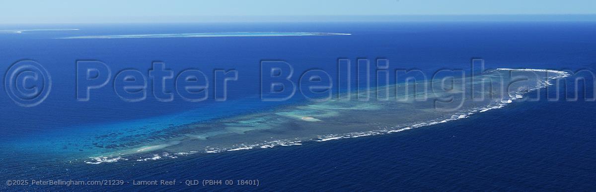 Peter Bellingham Photography Lamont Reef - QLD (PBH4 00 18401)